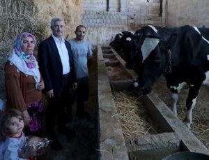 ŞAHİNBEY İLE HAYVANCILIK GELİŞİYOR