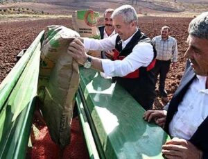 TAHMAZOĞLU DAĞITTIĞI TOHUMLARI ÇİFTÇİLERLE EKTİ