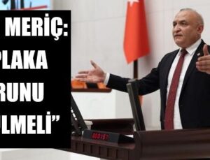 MERİÇ: “S PLAKA SORUNU ÇÖZÜLMELİ”