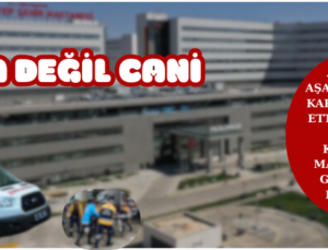 KOCA DEĞİL CANİ