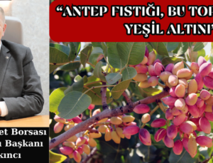  “ANTEP FISTIĞI, BU TOPRAKLARIN YEŞİL ALTINI”