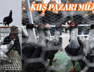 KUŞ PAZARI MÜJDESİ