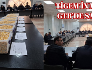 TİGEM’İN MISIR’I GTB’DE SATILDI