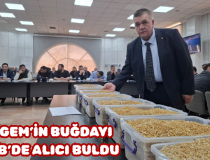 TİGEM’İN BUĞDAYI GTB’DE ALICI BULDU