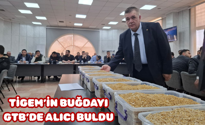 TİGEM’İN BUĞDAYI GTB’DE ALICI BULDU