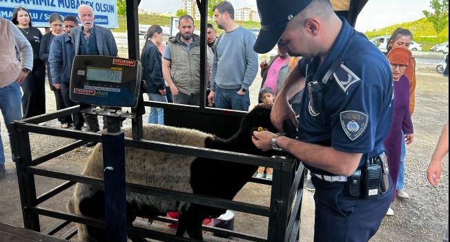 DENETİM, İLAÇLAMA VE KURBAN YAKALAMA TİMİ HAZIR