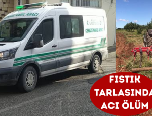 FISTIK TARLASINDA ACI ÖLÜM