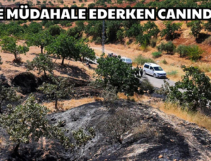 ALEVLERE MÜDAHALE EDERKEN CANINDAN OLDU