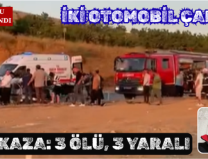 NİZİP YOLU KANA BULANDI: 3 ÖLÜ, 3 YARALI