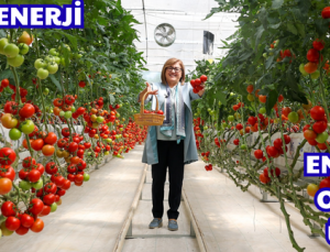 ATIKTAN ENERJİ, ENERJİDEN ORGANİK ÜRETİM