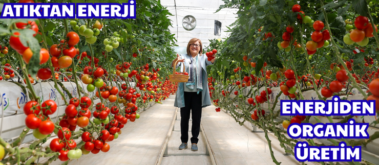 ATIKTAN ENERJİ, ENERJİDEN ORGANİK ÜRETİM