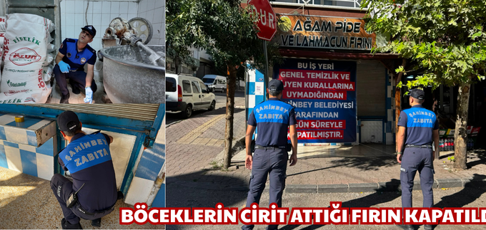BÖCEKLERİN CİRİT ATTIĞI FIRIN KAPATILDI