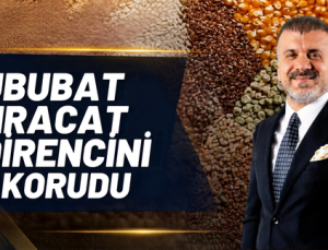 HUBUBAT İHRACAT DİRENCİNİ KORUDU