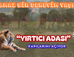 “YIRTICI ADASI” UNUTULMAZ BİR DENEYİM YAŞATACAK
