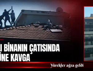 5 KATLI BİNANIN ÇATISINDA ÖLÜMÜNE KAVGA