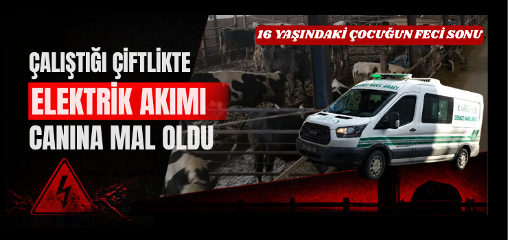 ÇALIŞTIĞI ÇİFTLİKTE ELEKTRİK AKIMI CANINA MAL OLDU